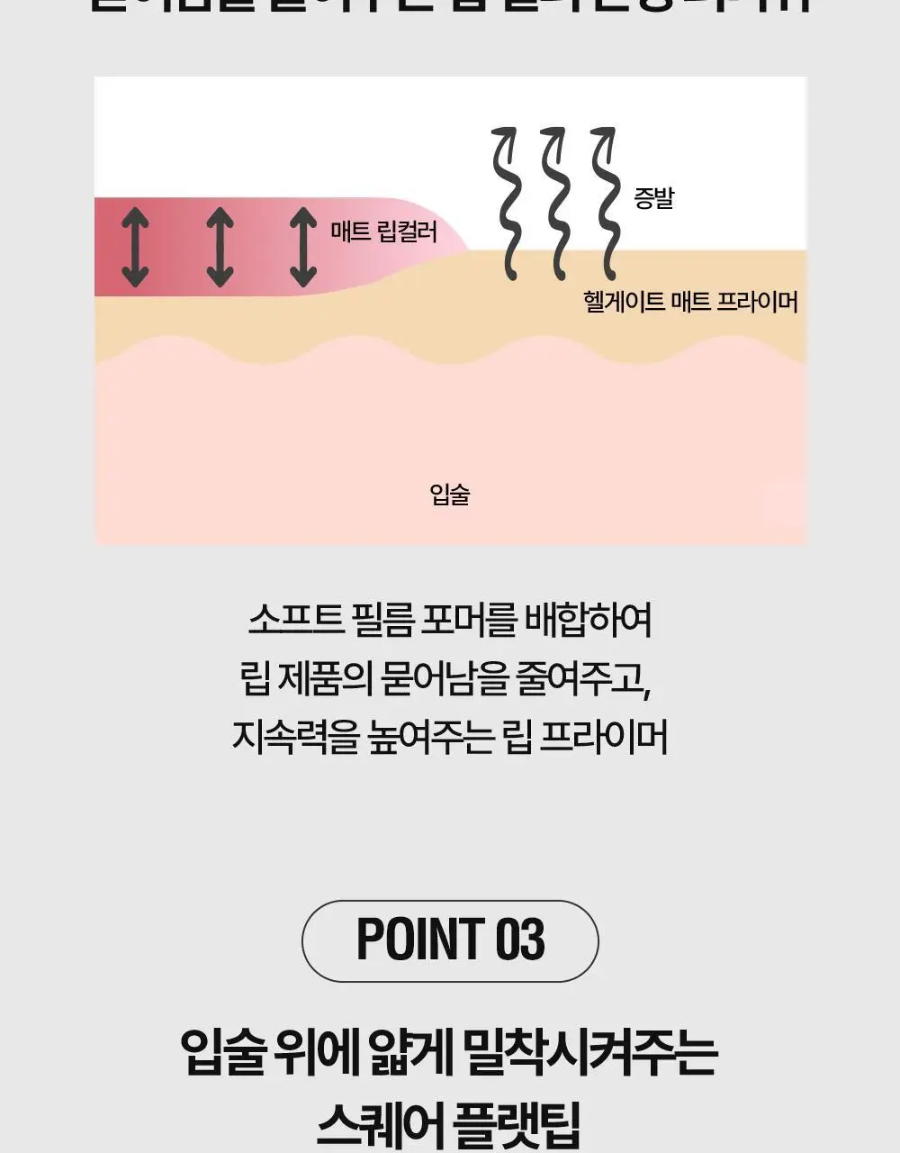 [리뉴얼/NEW] 홀리카홀리카 데빌스 플럼퍼 상세페이지 9